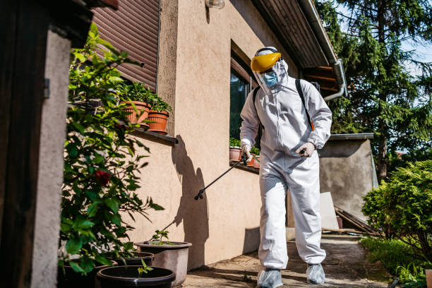 Best Commercial Pest Control Services  in Oasis, CA