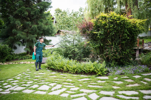 Pest Prevention Services in Oasis, CA