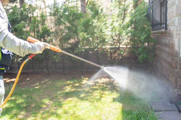 Best Local Pest Control Services  in Oasis, CA