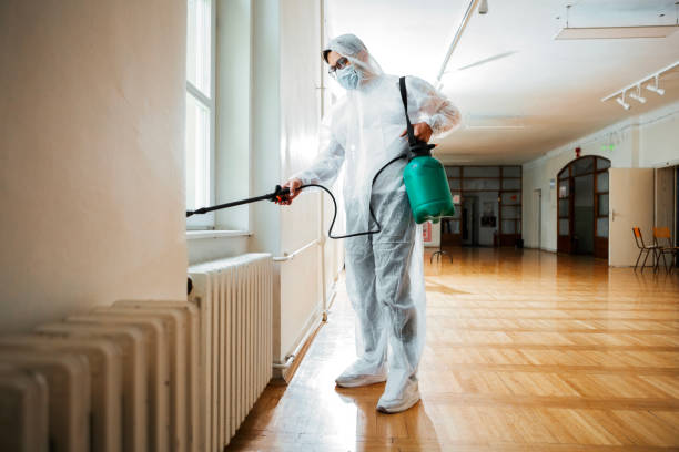 Best Flea Control Services  in Oasis, CA